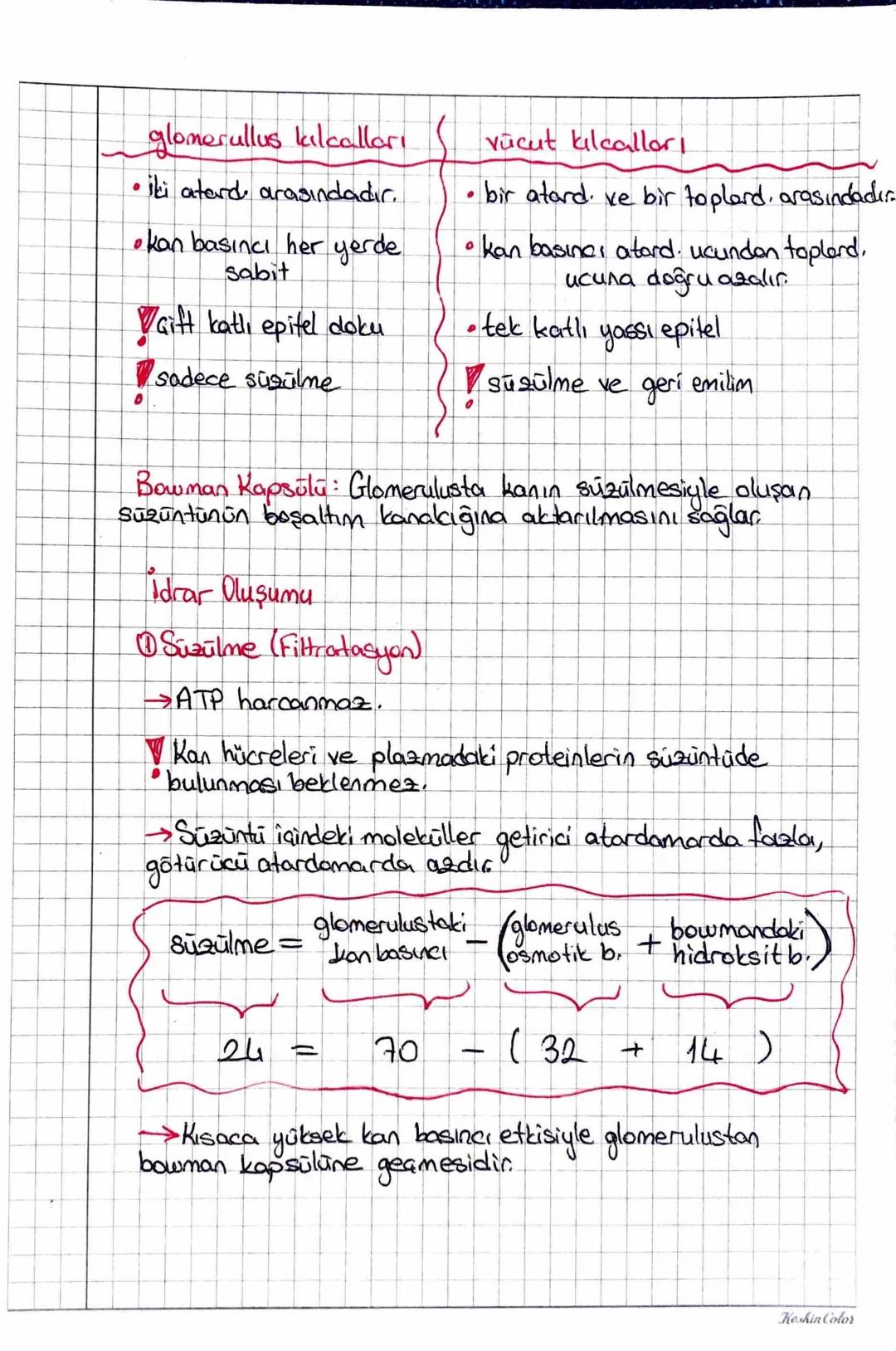 he hatolon
~ BOŞALTIM SISTEMI (URiNER) ~
* Dışkılama doğrudan boşaltım değildir.
>böbrek
üreter
Maddelerin zehir miktarları
mesane
üretra
am