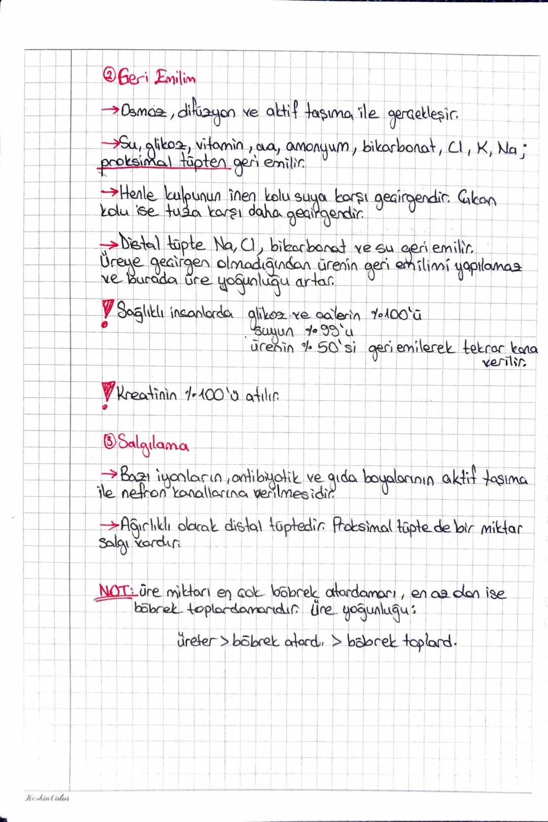 he hatolon
~ BOŞALTIM SISTEMI (URiNER) ~
* Dışkılama doğrudan boşaltım değildir.
>böbrek
üreter
Maddelerin zehir miktarları
mesane
üretra
am