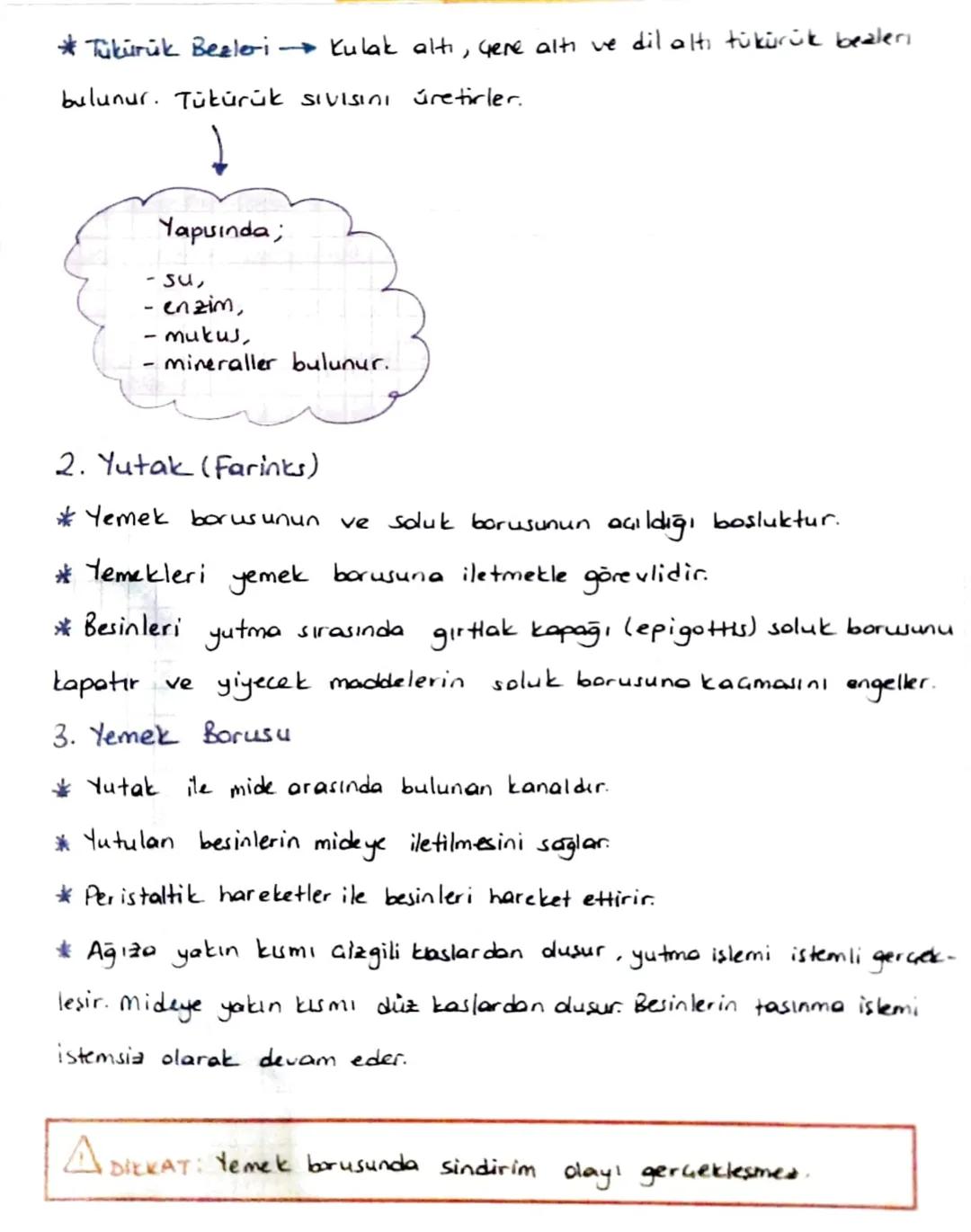 *SINDİRİM SİSTEMİ
* Sindirim Sisteminin Yapısı, Görevi ve işleyişi
*Beslenme ile alınan besinlerin hücre jaine alınabilecek boyuta gele-
re 