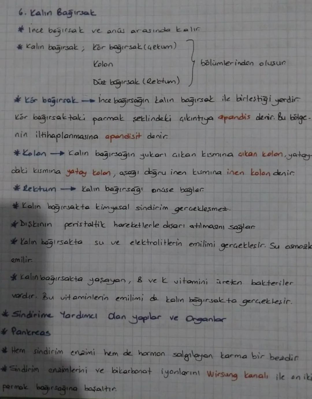 *SINDİRİM SİSTEMİ
* Sindirim Sisteminin Yapısı, Görevi ve işleyişi
*Beslenme ile alınan besinlerin hücre jaine alınabilecek boyuta gele-
re 