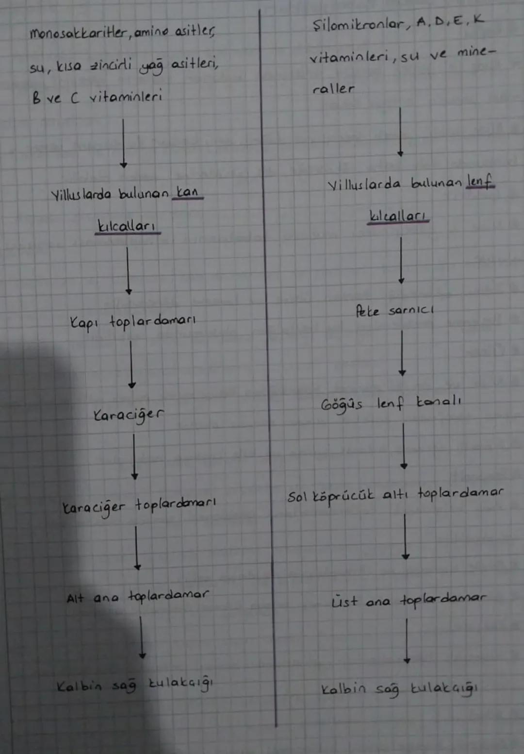 *SINDİRİM SİSTEMİ
* Sindirim Sisteminin Yapısı, Görevi ve işleyişi
*Beslenme ile alınan besinlerin hücre jaine alınabilecek boyuta gele-
re 