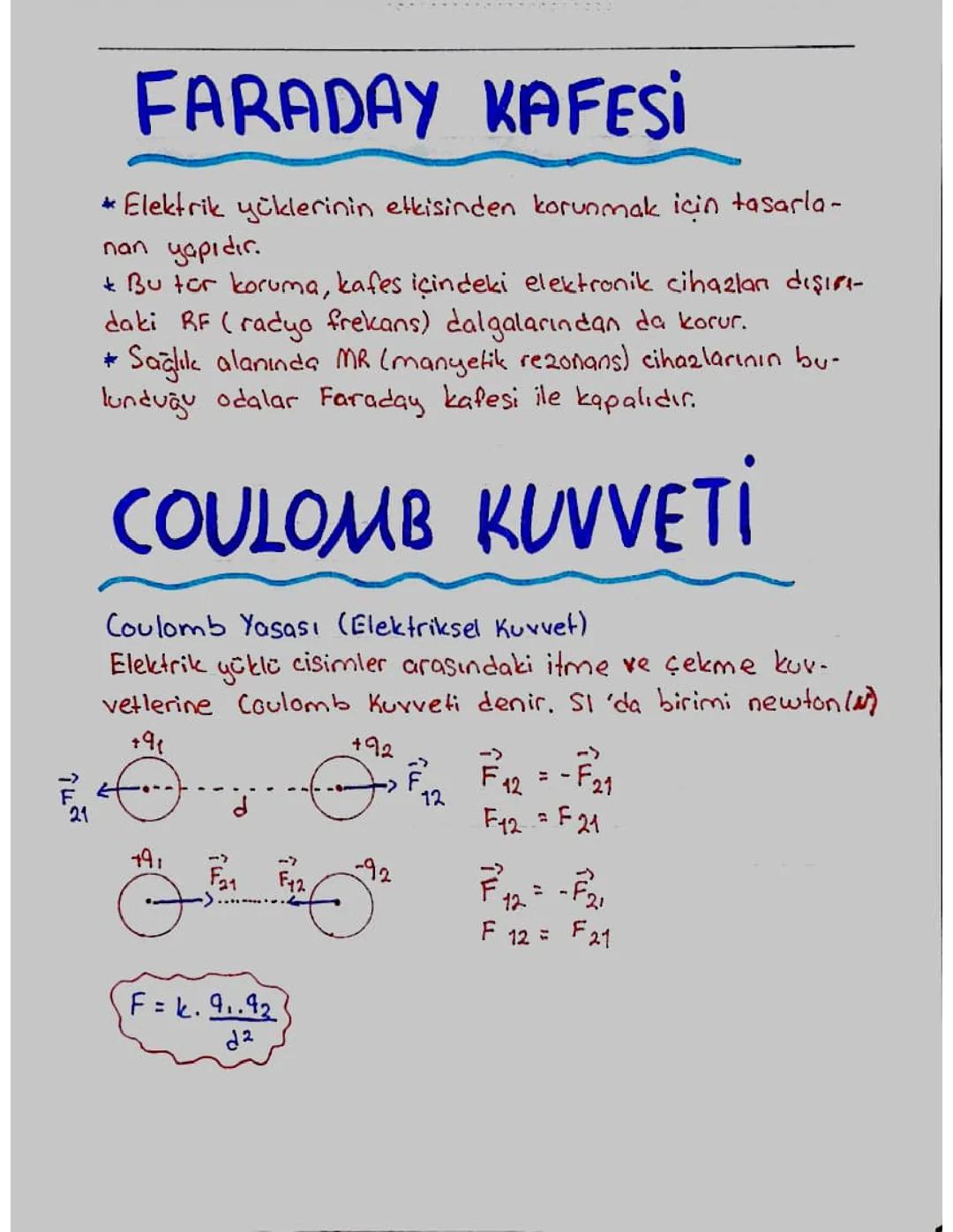 Faraday Kafesi ve Topraklama: Yıldırımdan Korunma ve Proje Ödevleri