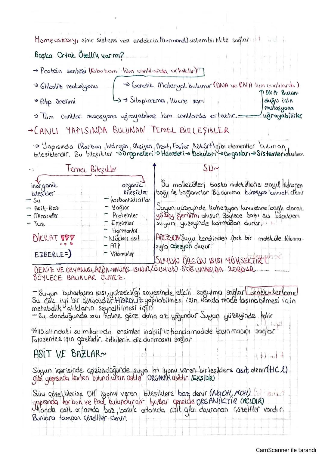 Home astasıyı sinir sistemi ven endokrin (hormonel) sistem birlikte sağlard
Başka Ortak Özellik varmı?
→ Protein sentezi (Ribotom fum cantik