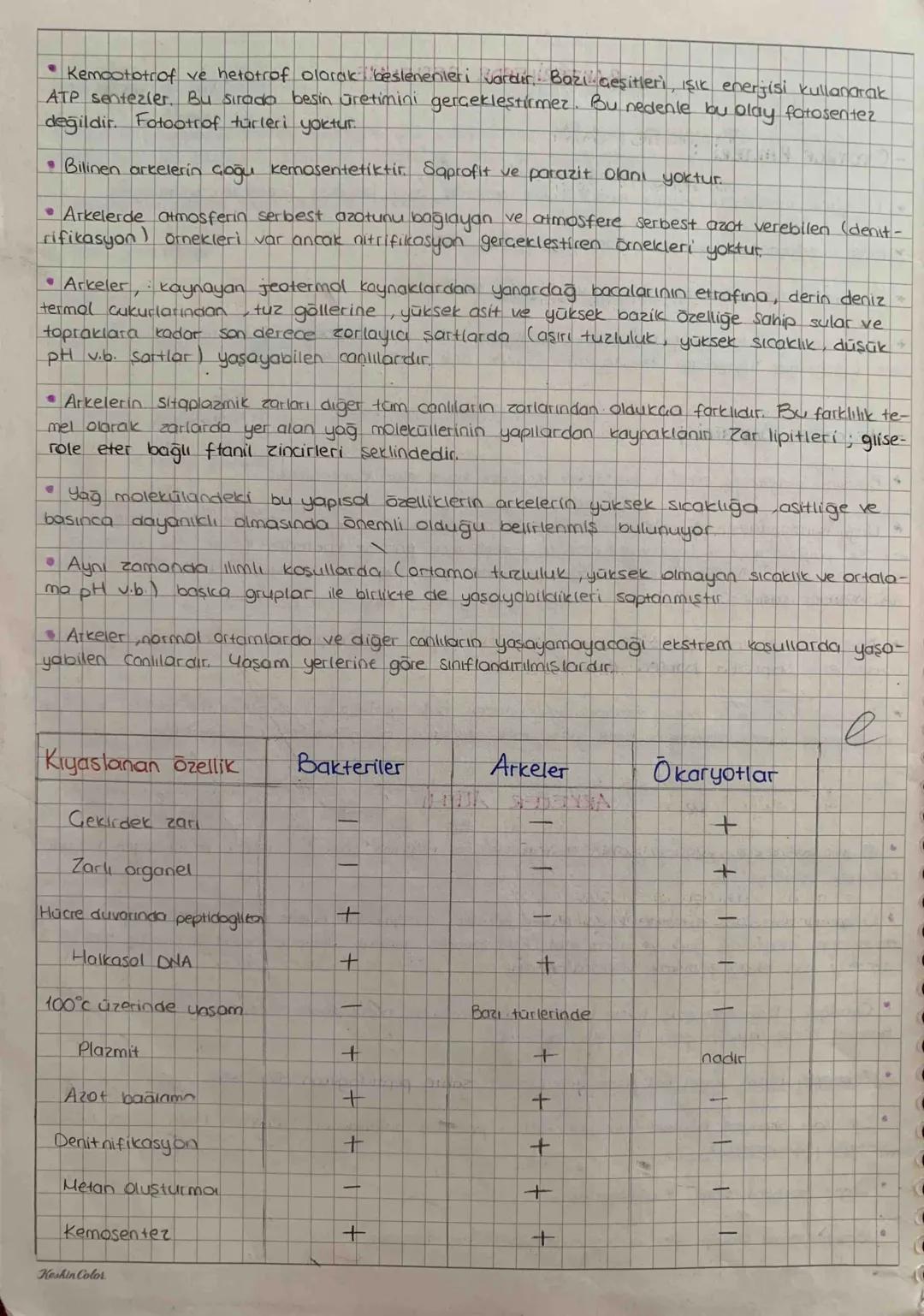 ARKELER ALEMI
Prokaryot hücre yapısına sahip olmamalarına rağmen bazı özellikleri ile okaryot hücreli
canlılara benzerler
Onceleri bakterile