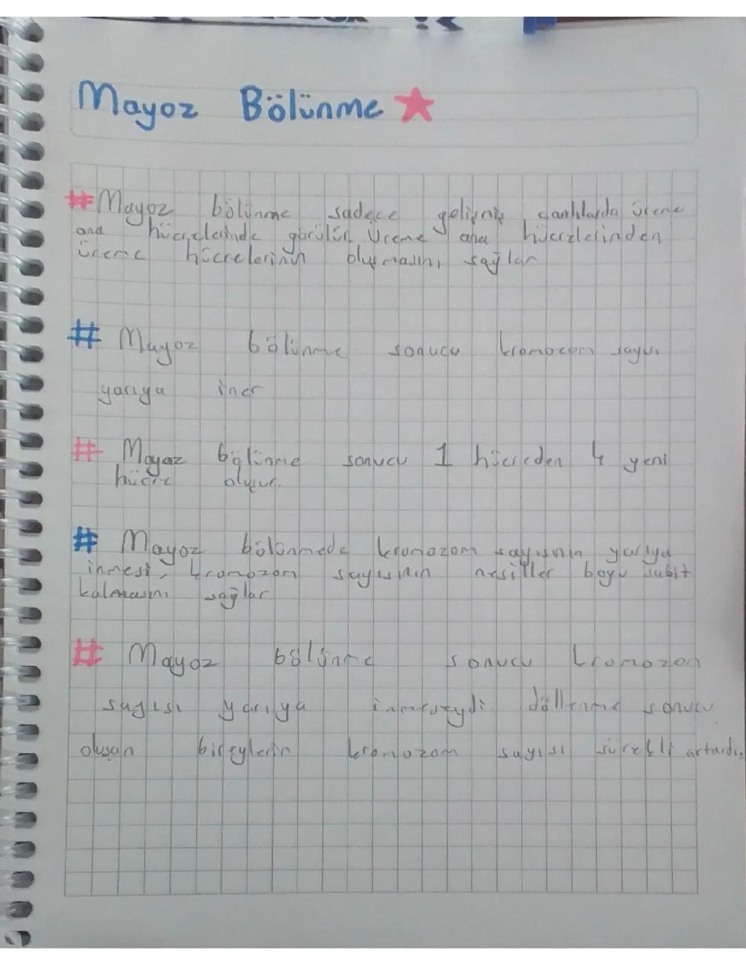Mayoz Bölünme Nedir? 7. Sınıf İçin Kısa Bilgiler