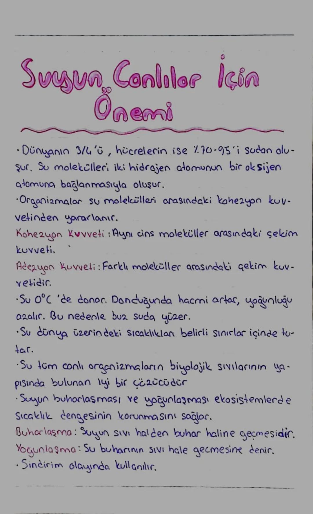 .
Suyun Canlılar İçin
Önemi
• Dünyanın 3/4'ü, hücrelerin ise %70-95'i sudan olu-
şur. Su molekülleri iki hidrojen atomunun bir oksijen
atomu