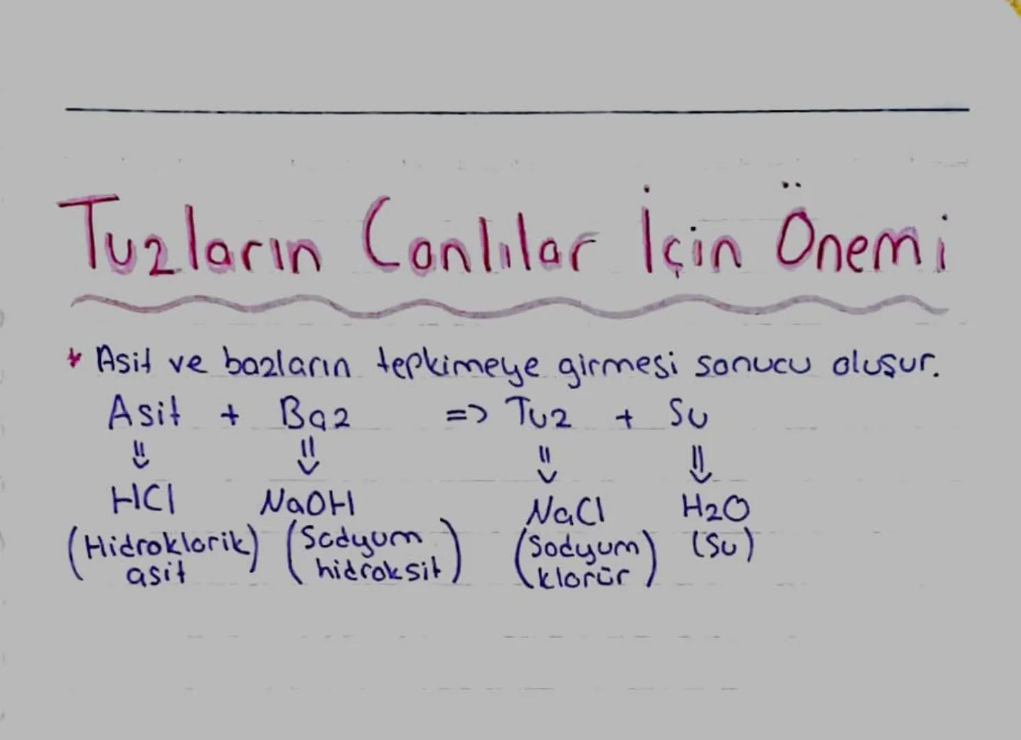 .
Suyun Canlılar İçin
Önemi
• Dünyanın 3/4'ü, hücrelerin ise %70-95'i sudan olu-
şur. Su molekülleri iki hidrojen atomunun bir oksijen
atomu