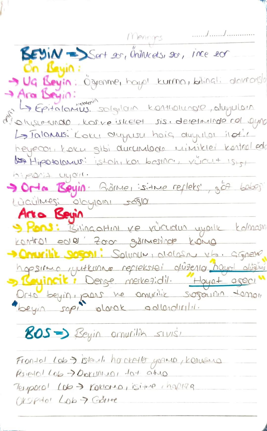 BİYOLOJİ
Nöron: igten ve diston gelen uyorilon alma.
değerlendirerek ilgil: kas ve bezle iletir.
Hücre gövdesi: metabolik devamliliği sağla
