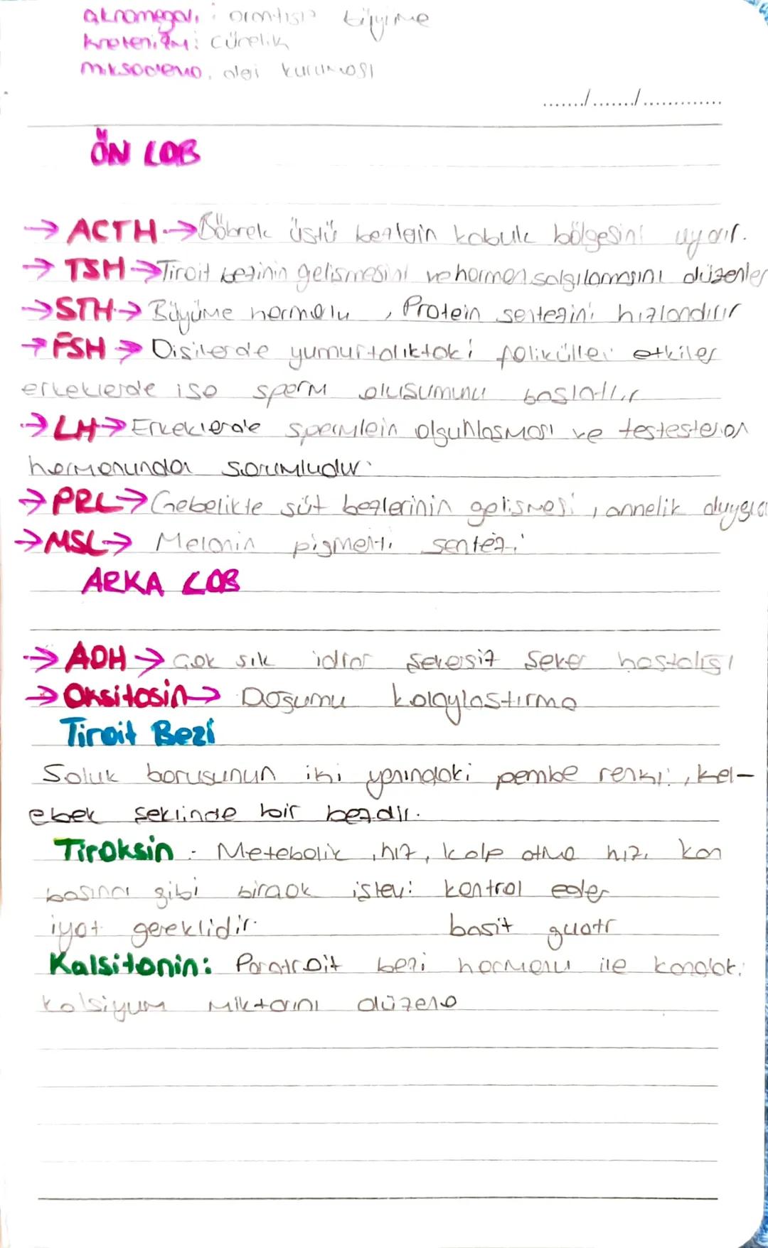 BİYOLOJİ
Nöron: igten ve diston gelen uyorilon alma.
değerlendirerek ilgil: kas ve bezle iletir.
Hücre gövdesi: metabolik devamliliği sağla
