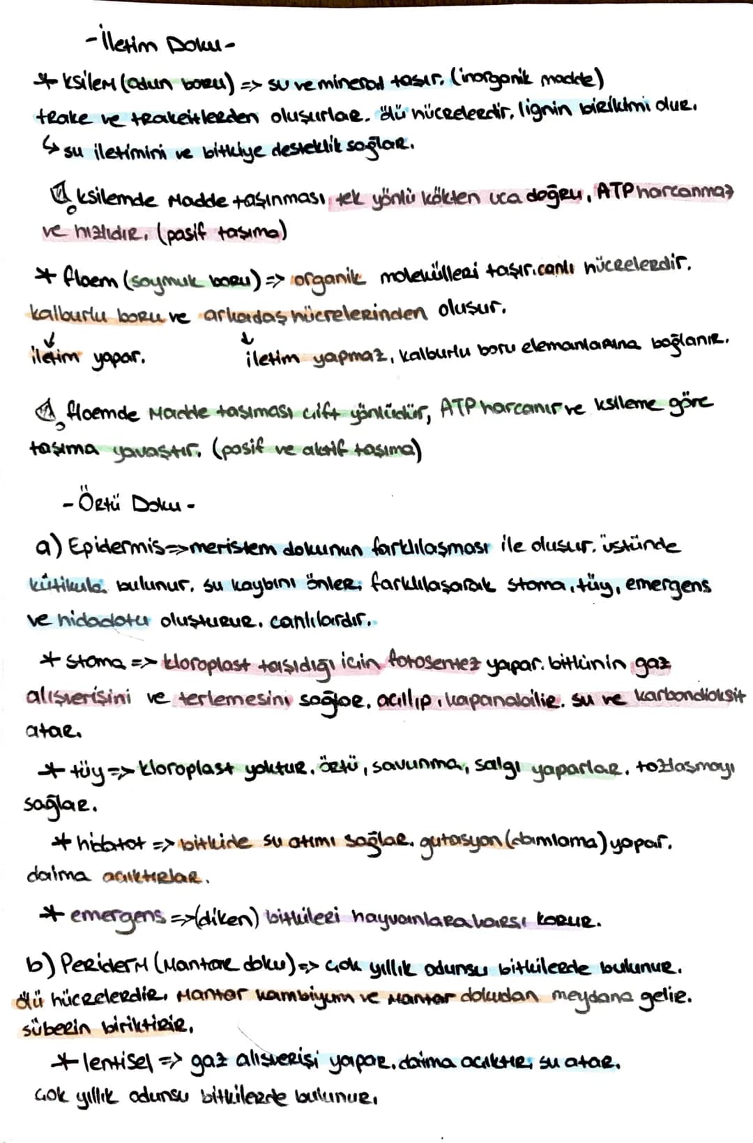 -İletim Doku-
*ksilem (Odun bozu) => Su ve mineral taşır, (inorganik madde)
trake ve traketlerden oluşurlar. dü nücrelerdir, lignin birikimi