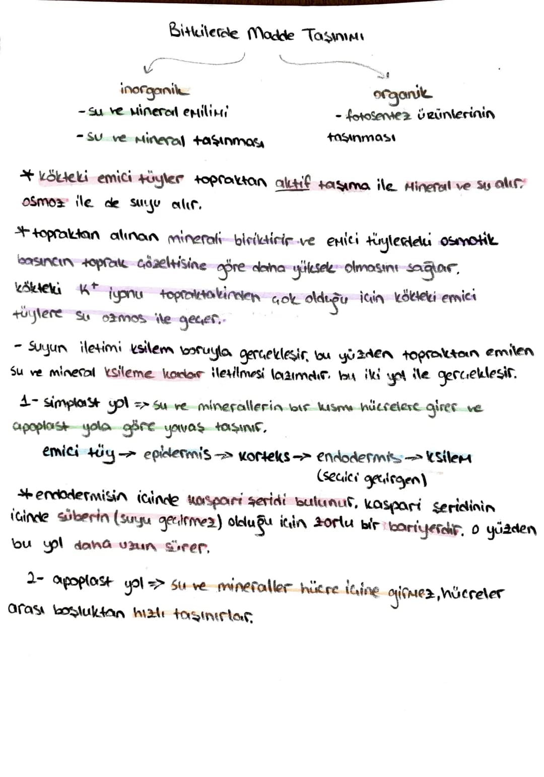 -İletim Doku-
*ksilem (Odun bozu) => Su ve mineral taşır, (inorganik madde)
trake ve traketlerden oluşurlar. dü nücrelerdir, lignin birikimi