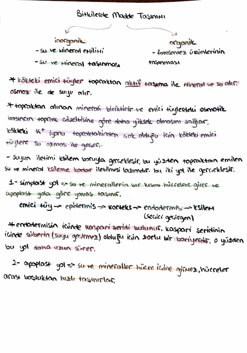 -İletim Doku-
*ksilem (Odun bozu) => Su ve mineral taşır, (inorganik madde)
trake ve traketlerden oluşurlar. dü nücrelerdir, lignin birikimi