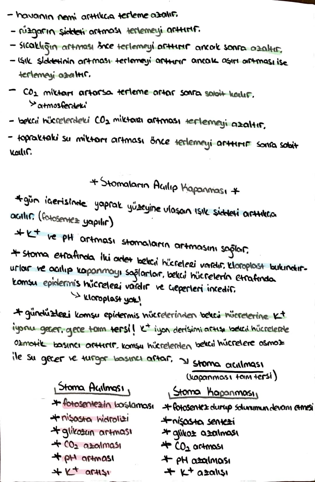 -İletim Doku-
*ksilem (Odun bozu) => Su ve mineral taşır, (inorganik madde)
trake ve traketlerden oluşurlar. dü nücrelerdir, lignin birikimi