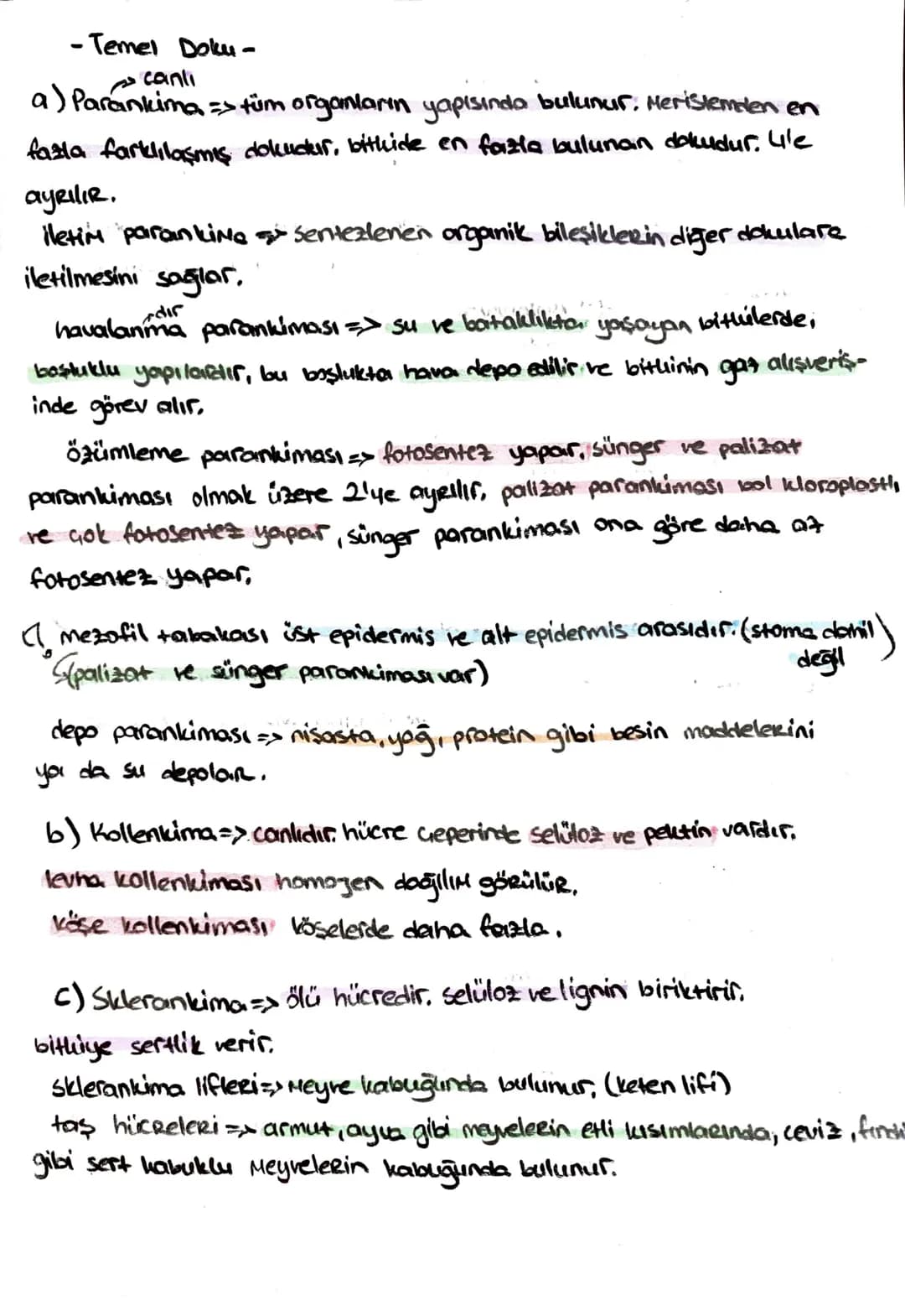 -İletim Doku-
*ksilem (Odun bozu) => Su ve mineral taşır, (inorganik madde)
trake ve traketlerden oluşurlar. dü nücrelerdir, lignin birikimi