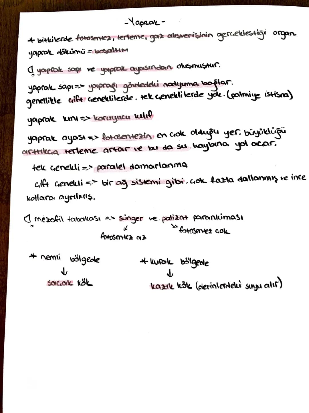 -İletim Doku-
*ksilem (Odun bozu) => Su ve mineral taşır, (inorganik madde)
trake ve traketlerden oluşurlar. dü nücrelerdir, lignin birikimi