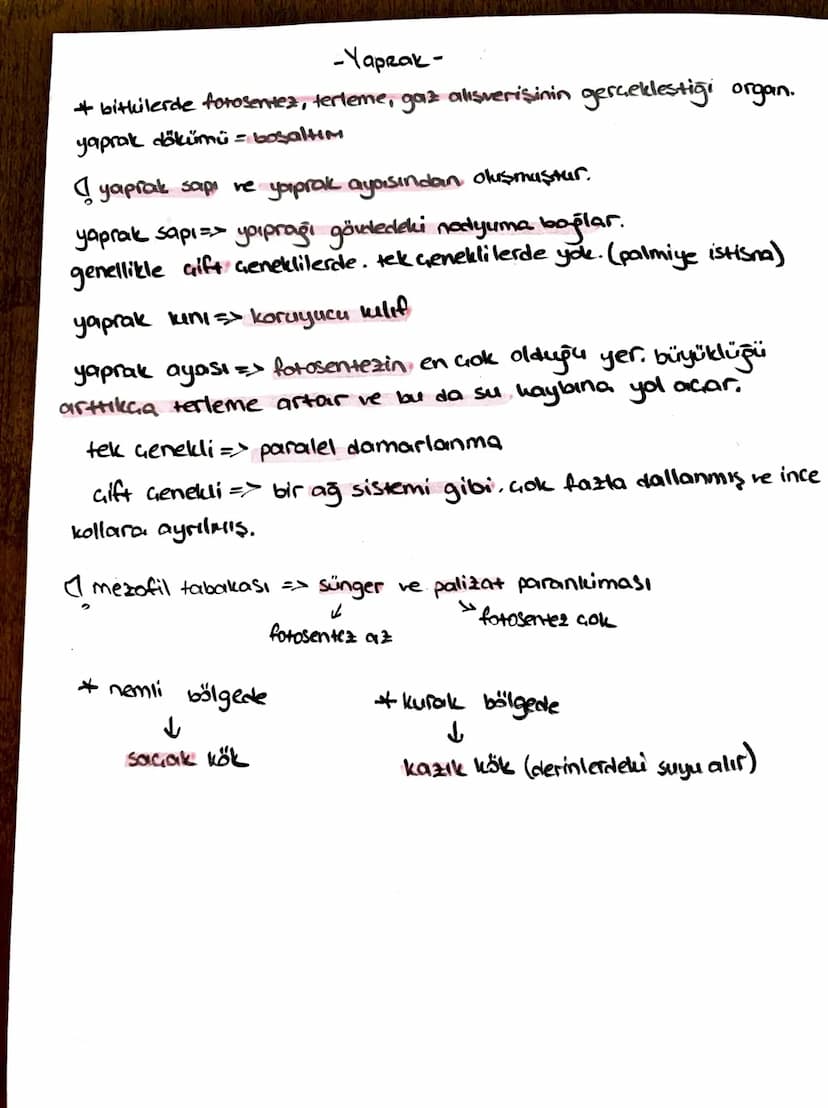 -İletim Doku-
*ksilem (Odun bozu) => Su ve mineral taşır, (inorganik madde)
trake ve traketlerden oluşurlar. dü nücrelerdir, lignin birikimi
