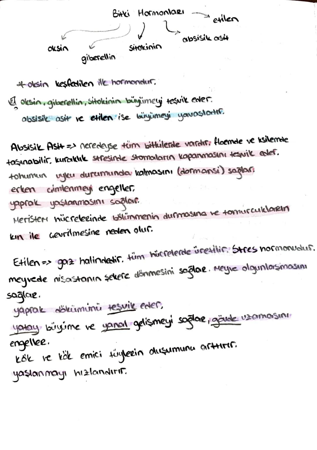 -İletim Doku-
*ksilem (Odun bozu) => Su ve mineral taşır, (inorganik madde)
trake ve traketlerden oluşurlar. dü nücrelerdir, lignin birikimi