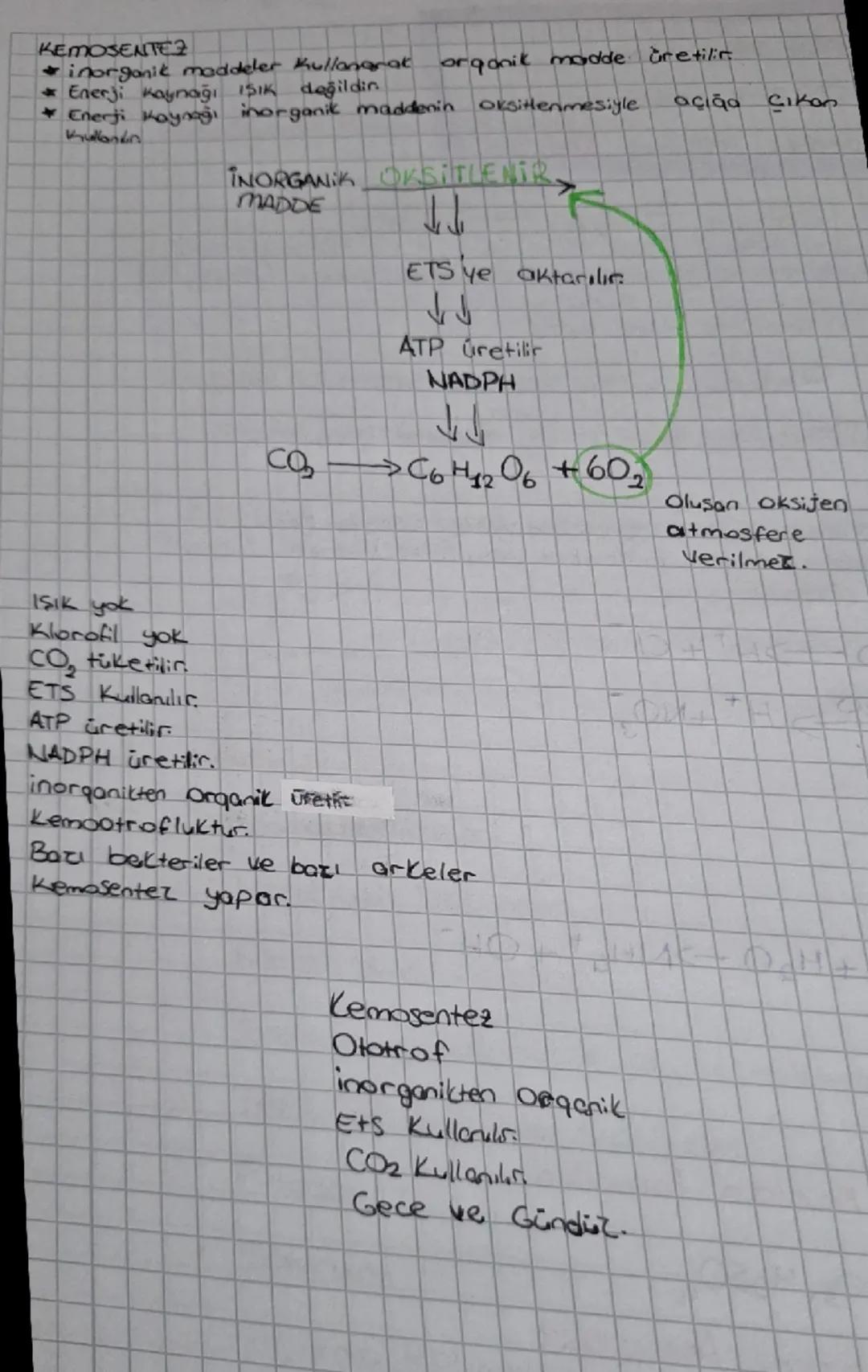 biyoloji 10.sınıf kemosentez konu anlatımı ders notu