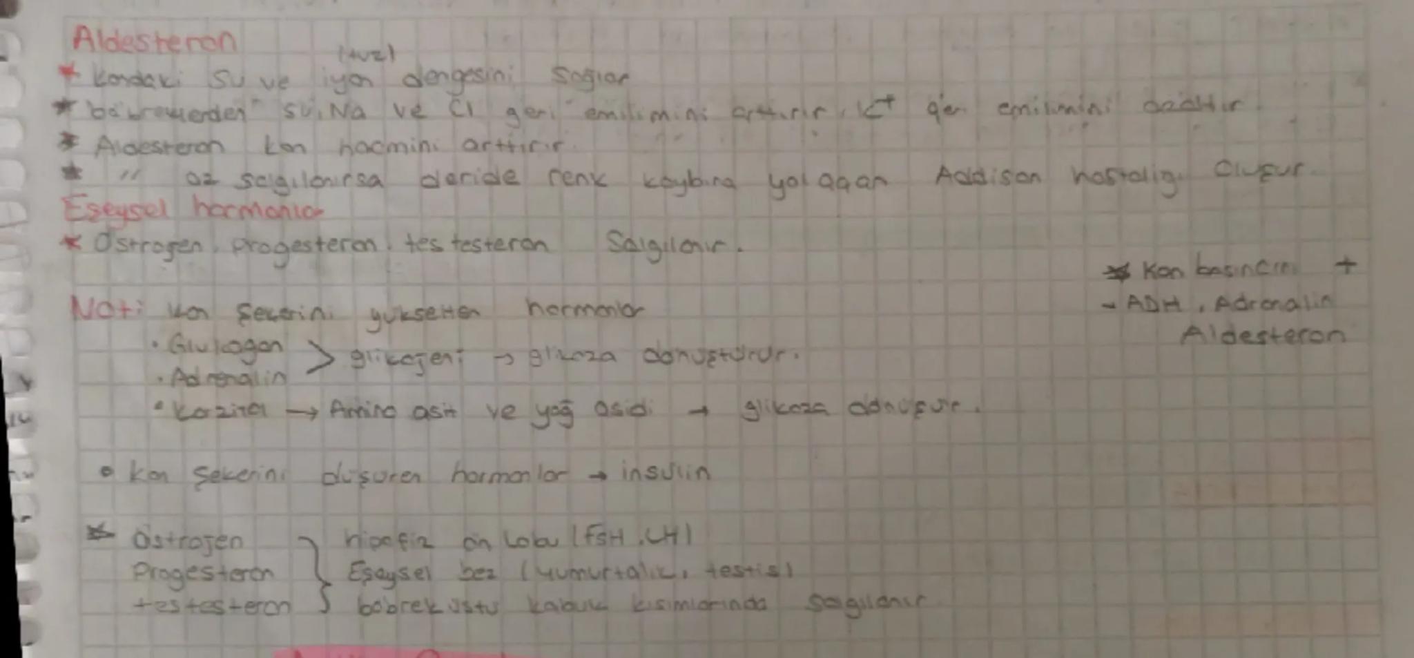 # Hipofiz bezi

STH
(Buyume Hormonul)
*   Tum vucud Uzerinde
eth eder
*   Hedef cromi kemik ve

# Hipotalamus

Hiporin on Looυ

MSH
(Mavancs