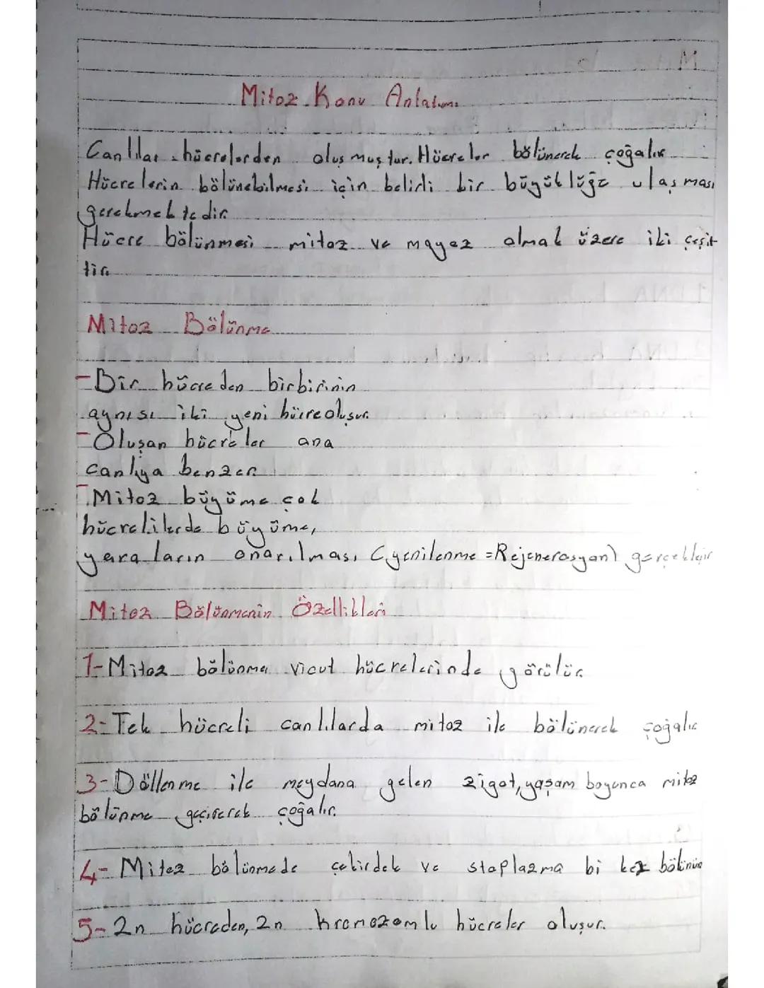 7. Sınıf fen bilimleri mitoz konu anlatımı 
