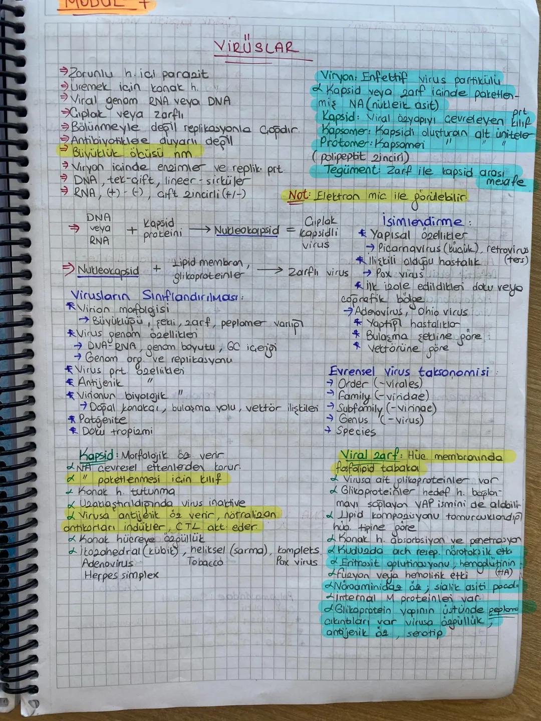 Zorunlu hiai parazit
Uremek icin konak h.
VIRUSLAR
Viral genom RNA veya DNA
Ciplak veya zarfli
Bölünmeyle değil replikasyonla Copdir.
Antibi