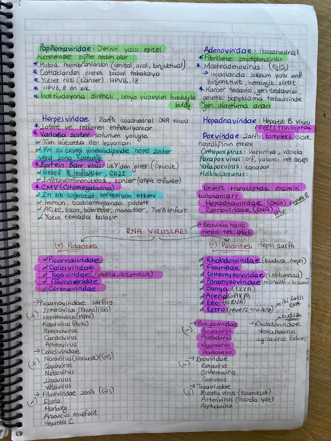 Zorunlu hiai parazit
Uremek icin konak h.
VIRUSLAR
Viral genom RNA veya DNA
Ciplak veya zarfli
Bölünmeyle değil replikasyonla Copdir.
Antibi