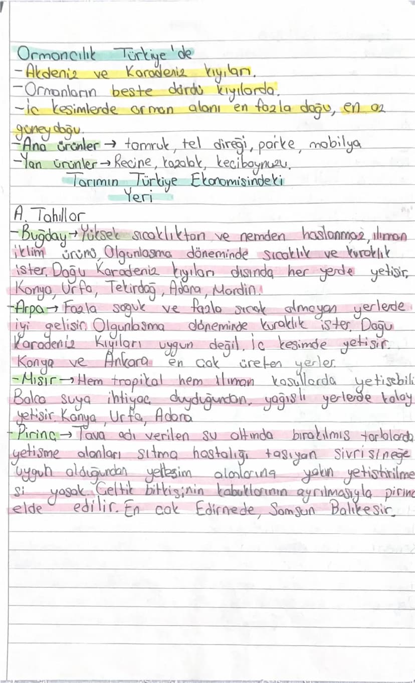 Türkiye Kır Yerleşmeleri
-Belden
-Köy
- Divan Sürekli
-Mahalle
-Mezra
- Yayla
-Oba
Geçici
-Ağıl
-Kom
-Dalyan
-Giftlikult ebaolo vis
Sürekli 