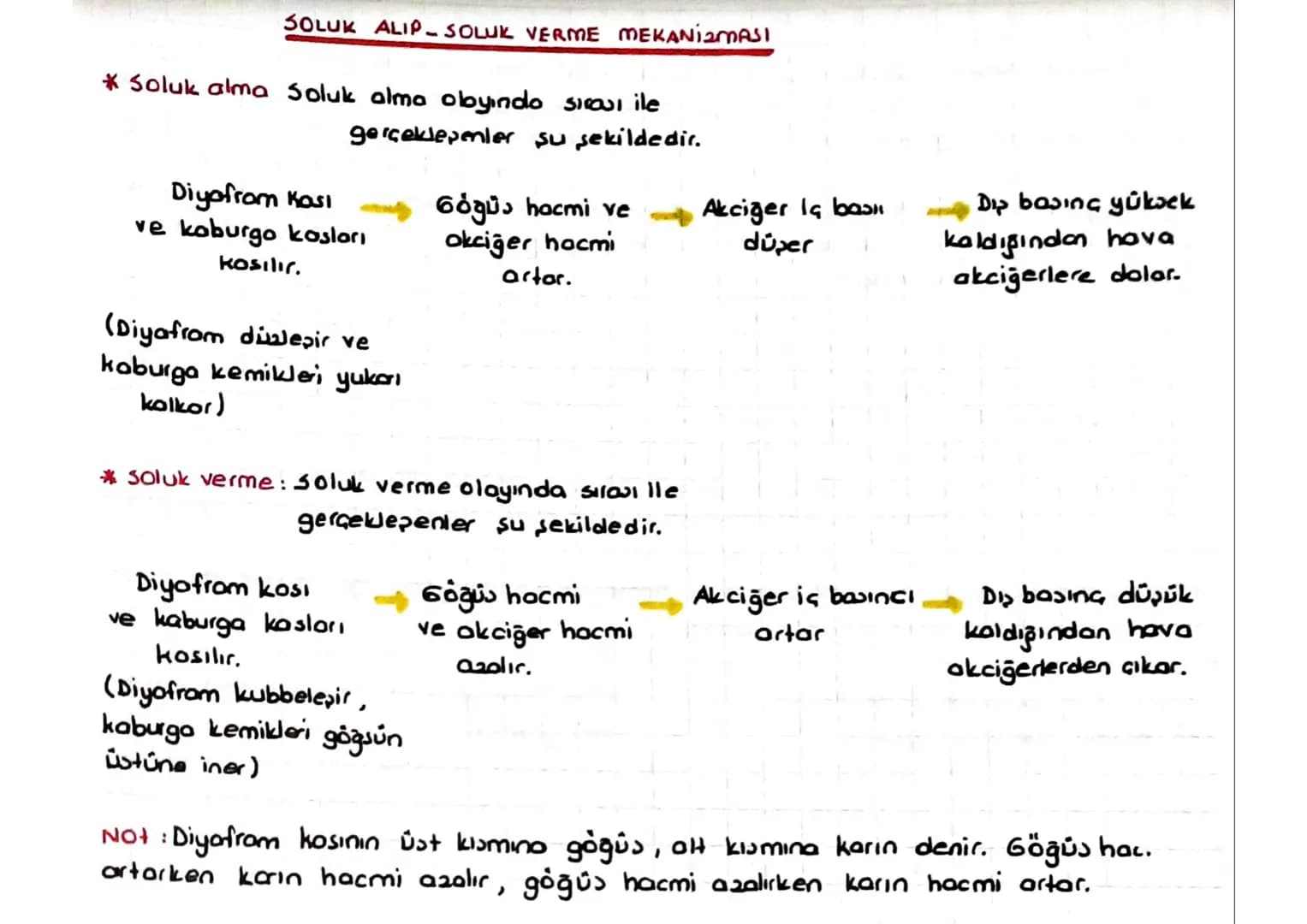 SOLUNUM SISTEMI
Solunum sistemi organları sırasıyla;
-
[Burun gırtlak.
- Soluk borusu_ brons _ brons cuk- alveol,
-
seklinde sıralanı
Burun: