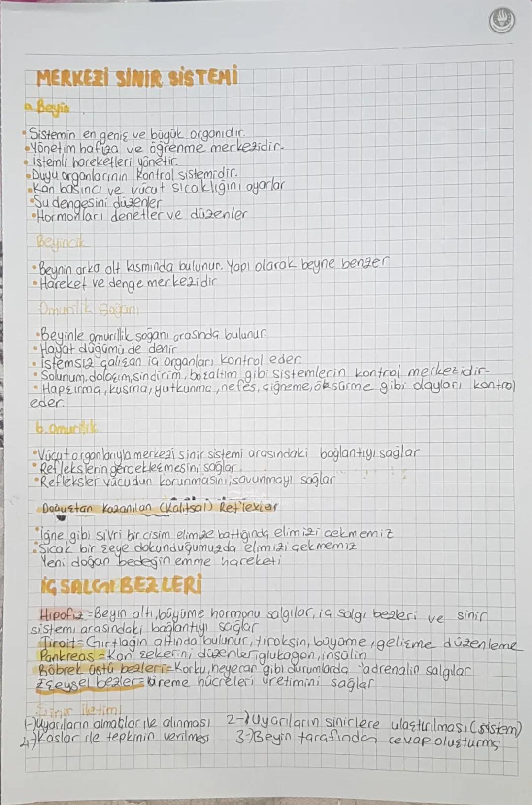 MERKEZİ SİNİR SİSTEMİ
Beyin
•Sistemin en geniş ve büyük organıdır.
•Yönetim hafta ve öğrenme merkezidir.
•İstemli hareketleri yönetir.
•Duyu