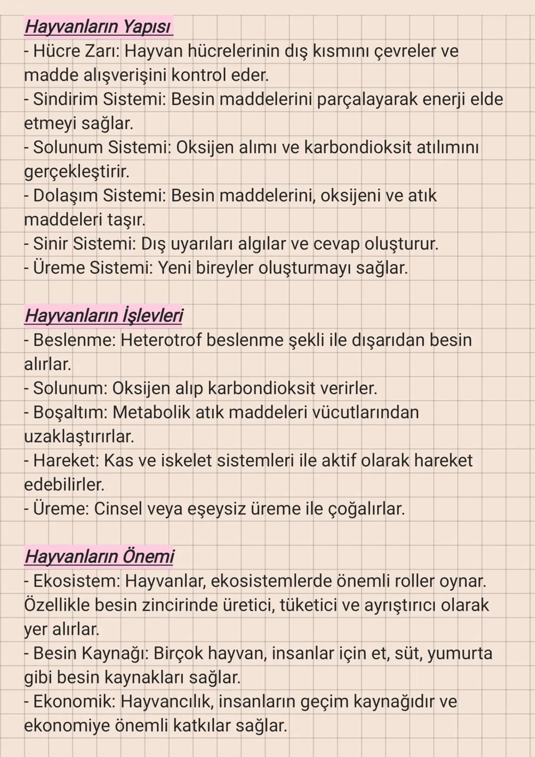 Hayvanlar
Hayvanlar, heterotrof beslenme şekline sahip, çok hücreli ve
genellikle hareket edebilen canlılardır. Hücrelerinde hücre
duvarı bu