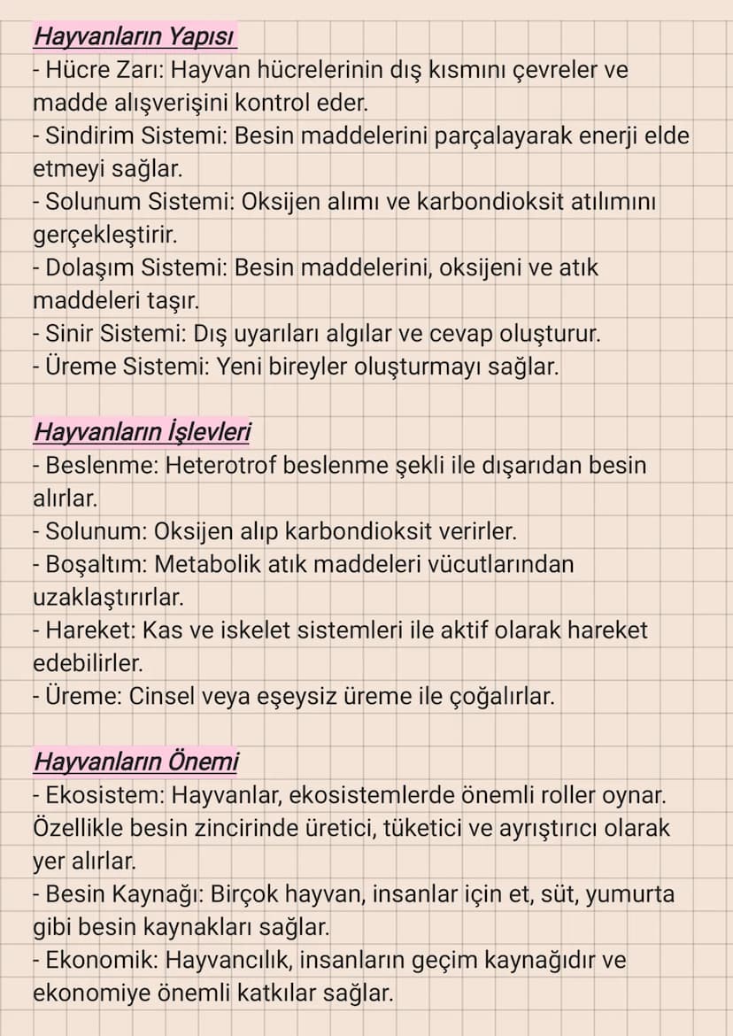 Hayvanlar
Hayvanlar, heterotrof beslenme şekline sahip, çok hücreli ve
genellikle hareket edebilen canlılardır. Hücrelerinde hücre
duvarı bu