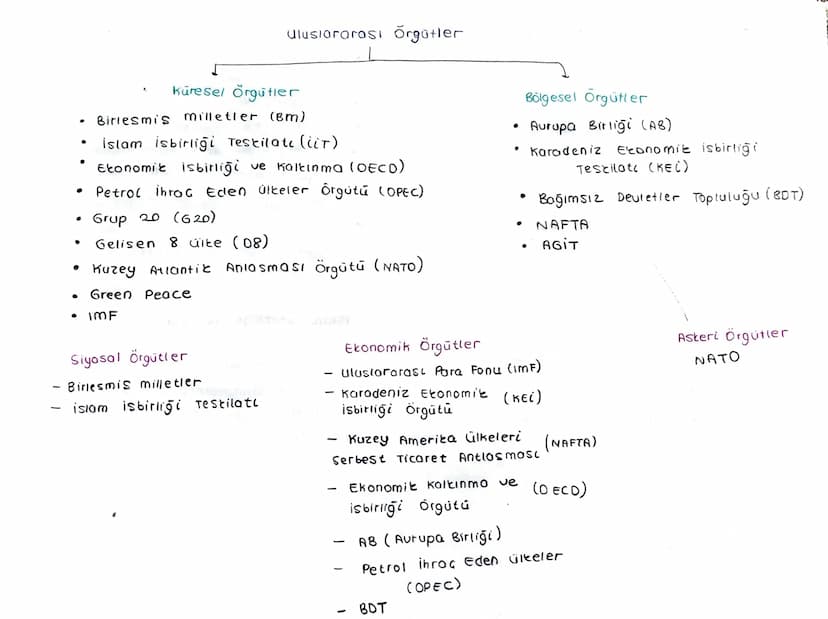 Uluslararası ŏrgütler
Küresel örgütler
• Birlesmis Milletler (BM)
•
islam isbirliği Testilate (lit)
•
Etonomit isbirliği ve Kalkınma (OECD)
