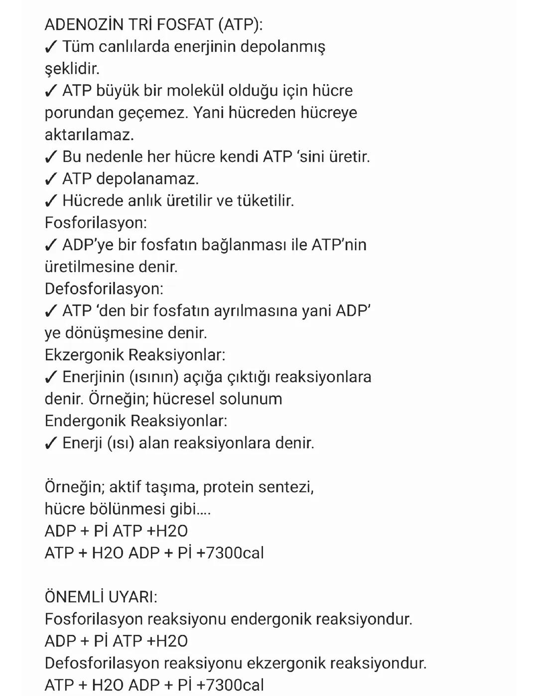 ATP’nin Yapısı