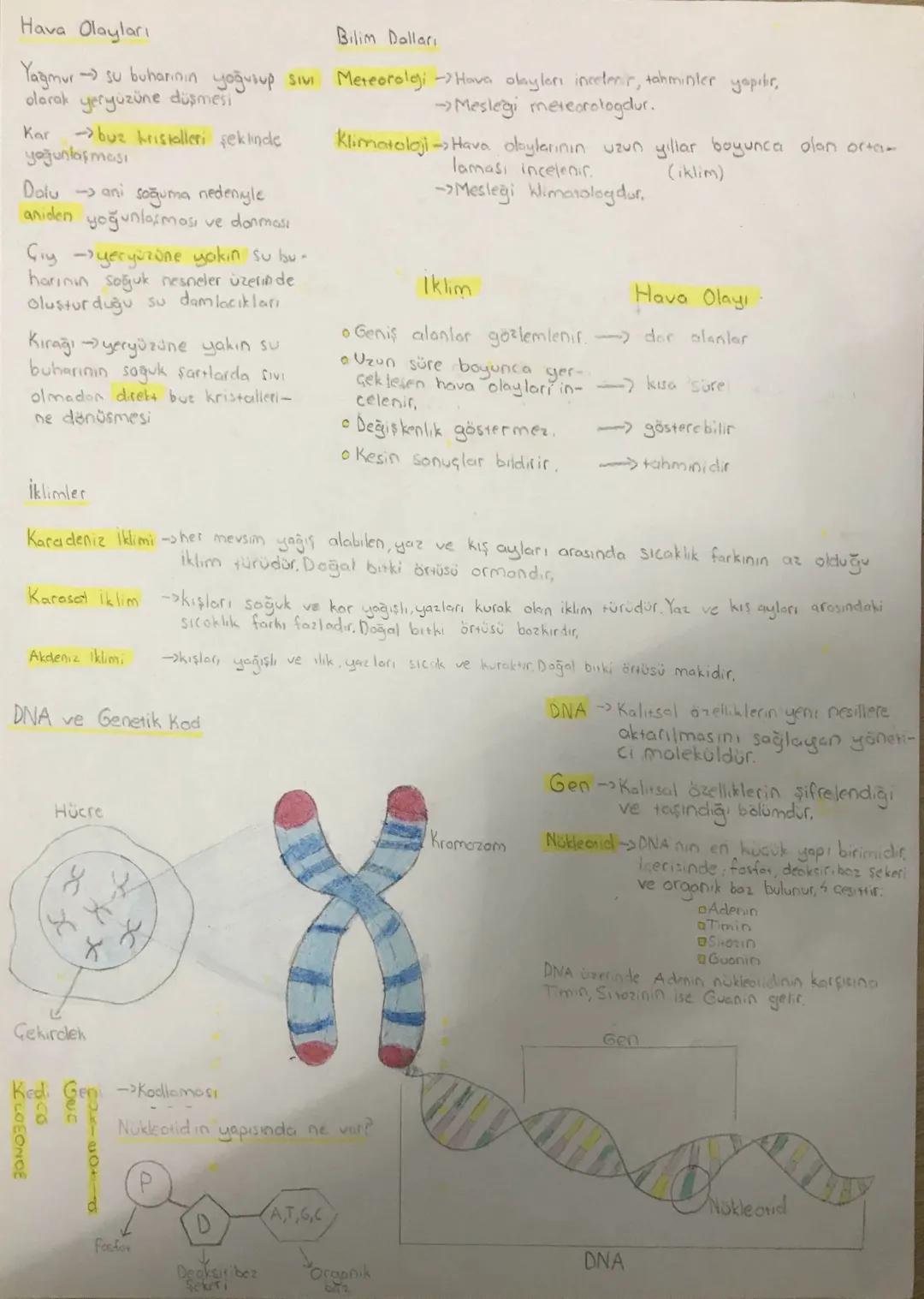 Nevsimler ve iklim
Mevsimlerin Oluşumu
Dünyanın Şekli ve Hareketleri
Yenge Bene
Oglak Dans
Dönme ekseni
-Kuzey yarım küre
Ekvator
Güney yarı