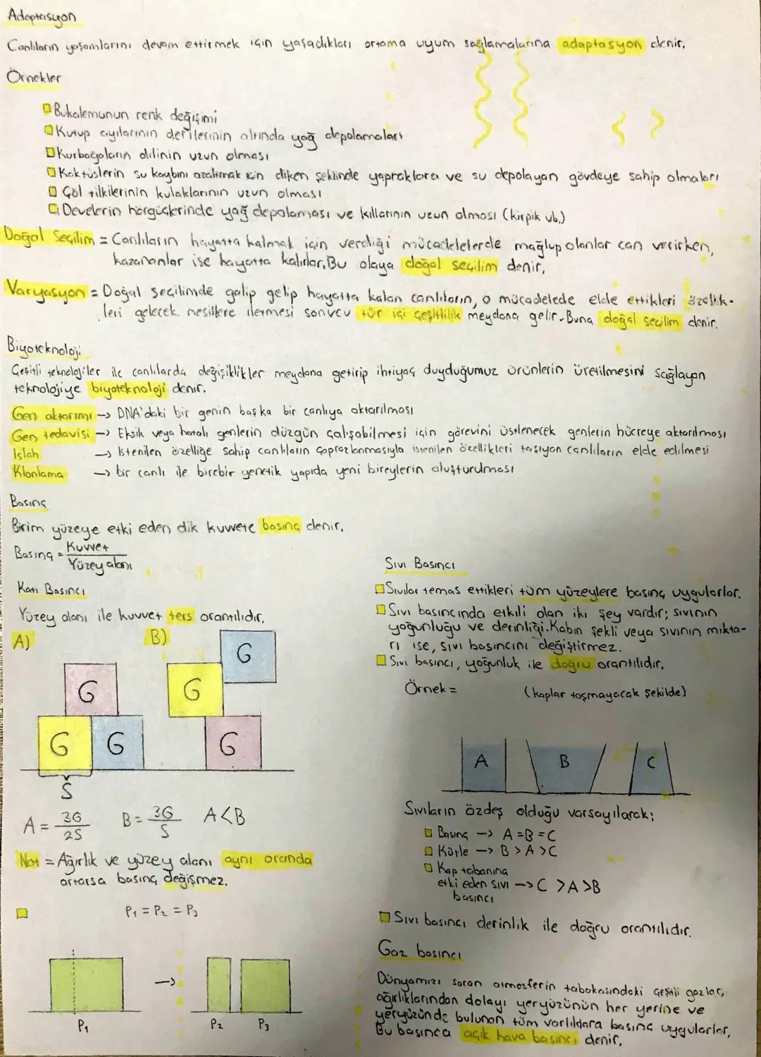 Nevsimler ve iklim
Mevsimlerin Oluşumu
Dünyanın Şekli ve Hareketleri
Yenge Bene
Oglak Dans
Dönme ekseni
-Kuzey yarım küre
Ekvator
Güney yarı