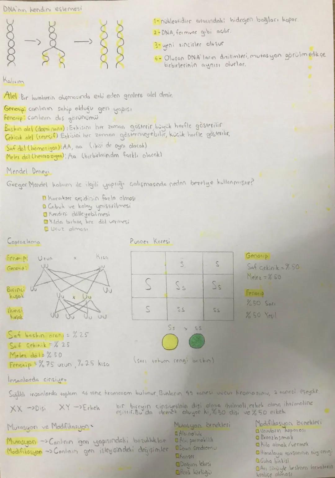 Nevsimler ve iklim
Mevsimlerin Oluşumu
Dünyanın Şekli ve Hareketleri
Yenge Bene
Oglak Dans
Dönme ekseni
-Kuzey yarım küre
Ekvator
Güney yarı