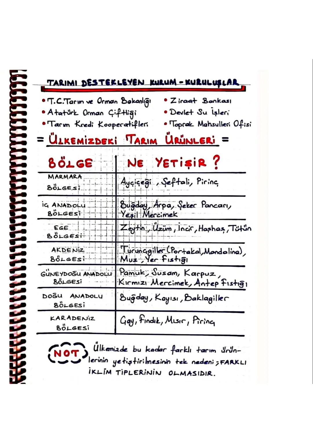 ve
DULAŞIM: Özellikle İSTANBUL
ÇANAKKALE BOĞAZLARI sayesinde
ülkemizde, deniz yolu ulaşımı gelişmiştir.
İki kıtayı birbirine bağladığı için 