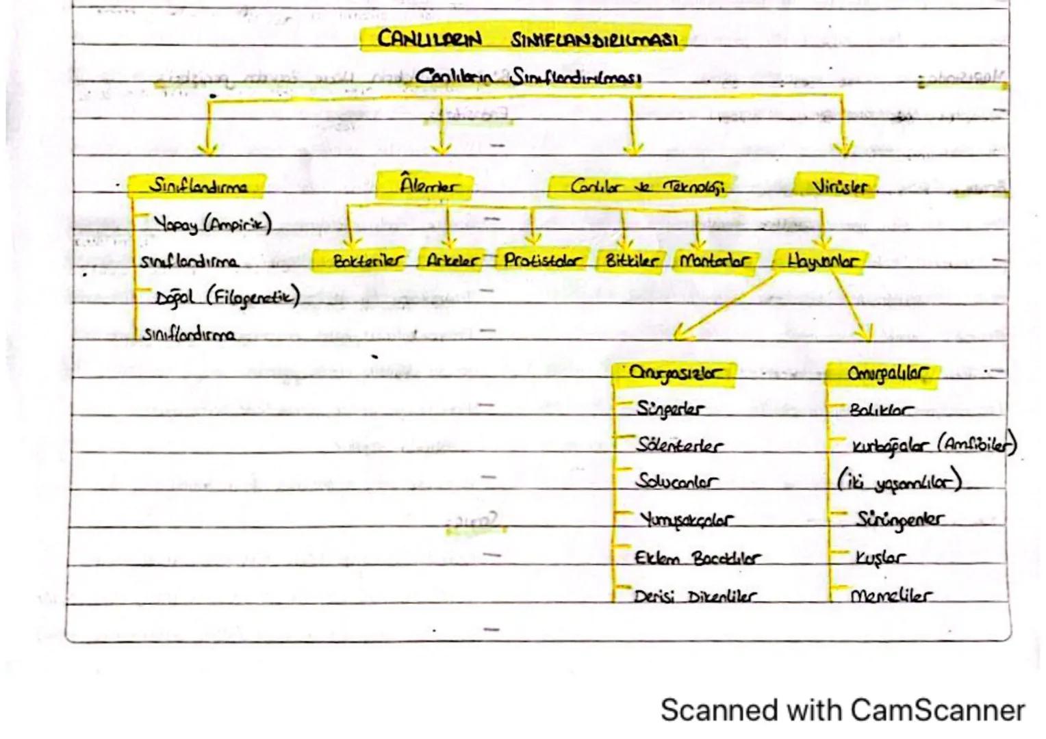 CANLILARIN SINIFLANDIRILMASI
volan abus weCanlibrin Sinaflandırılması
Siniflandırma
Alemer
Canlılar ve Teknoloji
Virüsler
Yapay (Ampirik)
Ba
