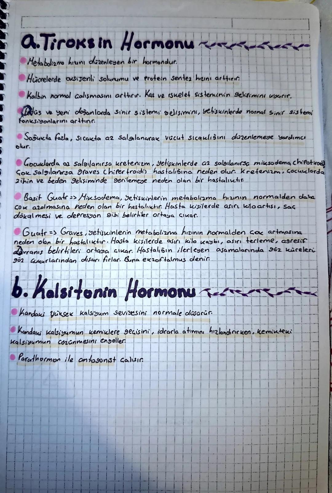 2. terait besi
вен
♥Boyunda, Soluk borusunun her iki yanına yerleşmiş iki loblu bir bezdir. Loblar birbirine
küçük bir ara bölmeyle bağlanmı