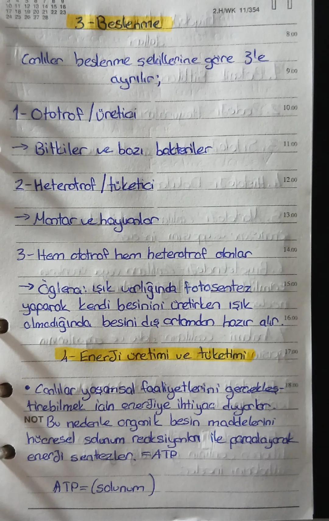 8.00
2.H/WK 10/355
Bigda Jima
20 21 22 23 24 25 26
27 28 29 30 31
Canliler
Canlılanın ortak özellikleri ziye ayrılır;
9.00 1-Hucresel Yapı
•