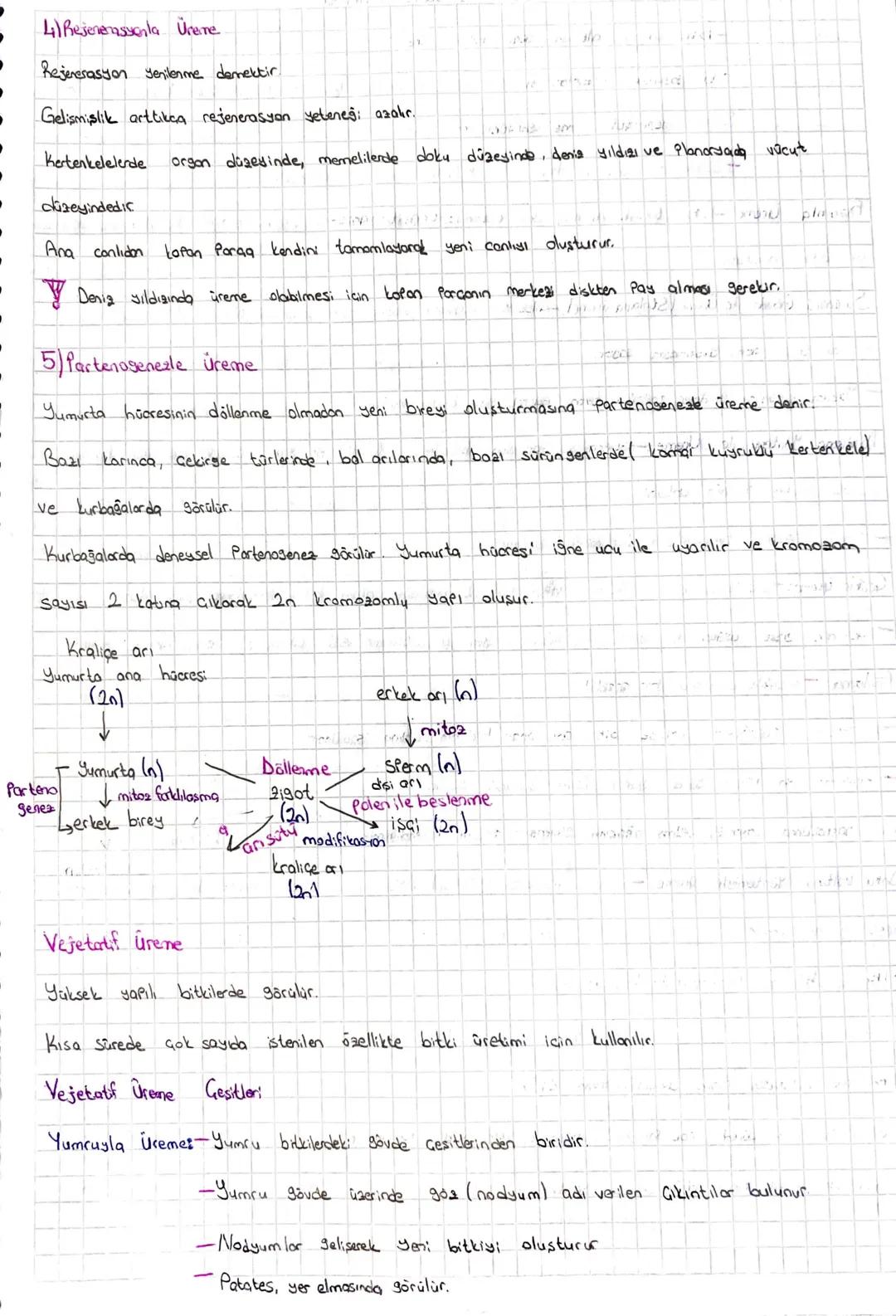 Tedavisinde Cerrahi müdahale, radyoterapi, kemoterapi kullanılır.
~ESEYSIZ ÜREME~
-
-Tek bir ata bireyin katılımı sonucu oluşur.
Temeli milo