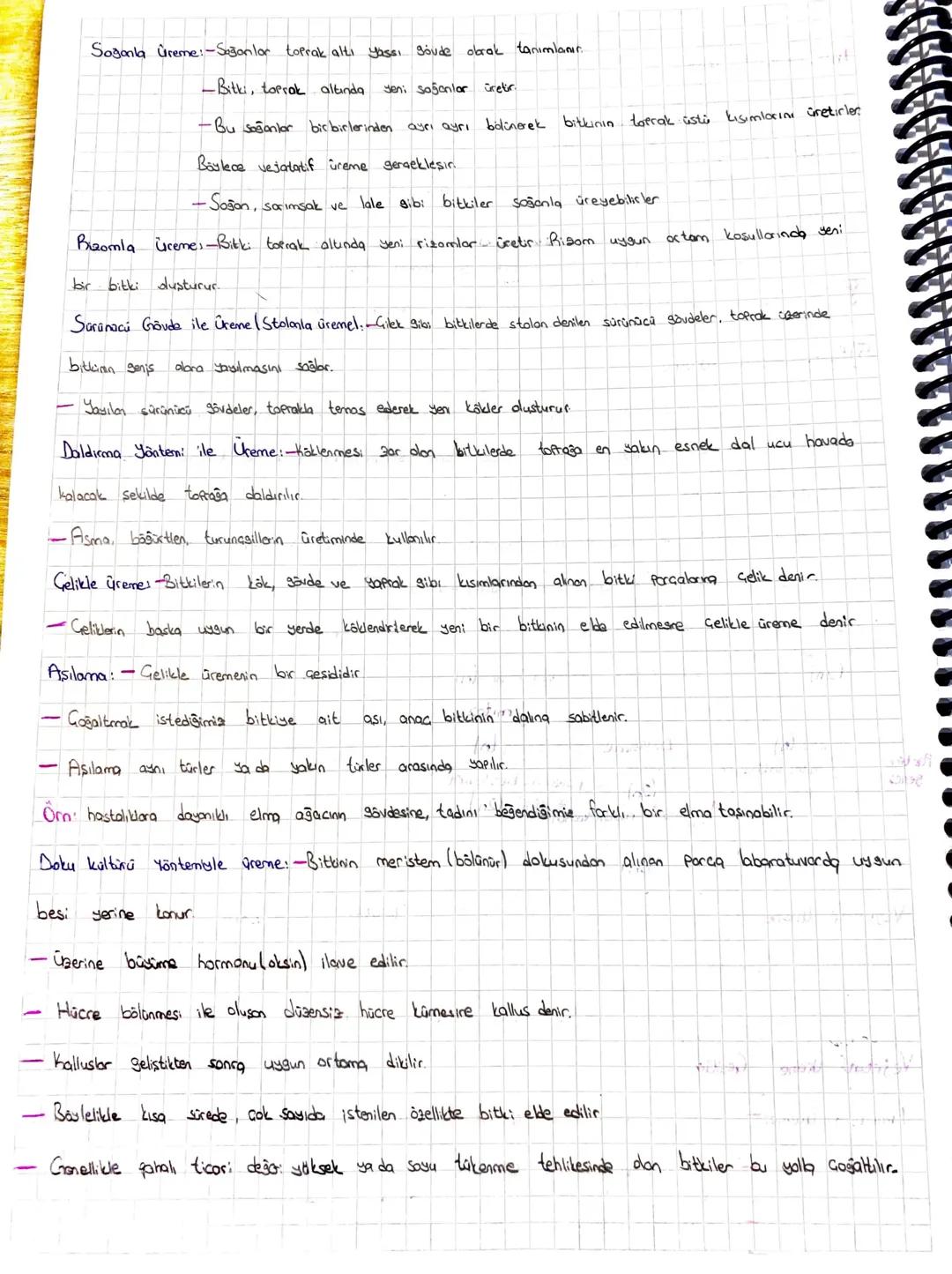 Tedavisinde Cerrahi müdahale, radyoterapi, kemoterapi kullanılır.
~ESEYSIZ ÜREME~
-
-Tek bir ata bireyin katılımı sonucu oluşur.
Temeli milo