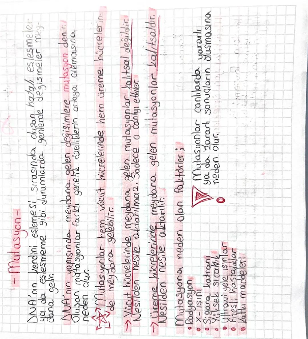 8. Sınıf Fen Bilimleri: Mutasyon ve Modifikasyon Konuları