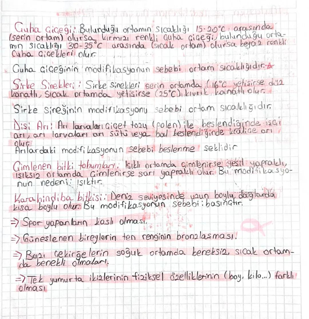 - Mutasyon-
DNA'nın kendini eşlemesi sırasında oluşan hatalı eşleşmeler
ya da eşleşmeme gibi durumlarda genlerde değişmeler mey-
dana gelir.