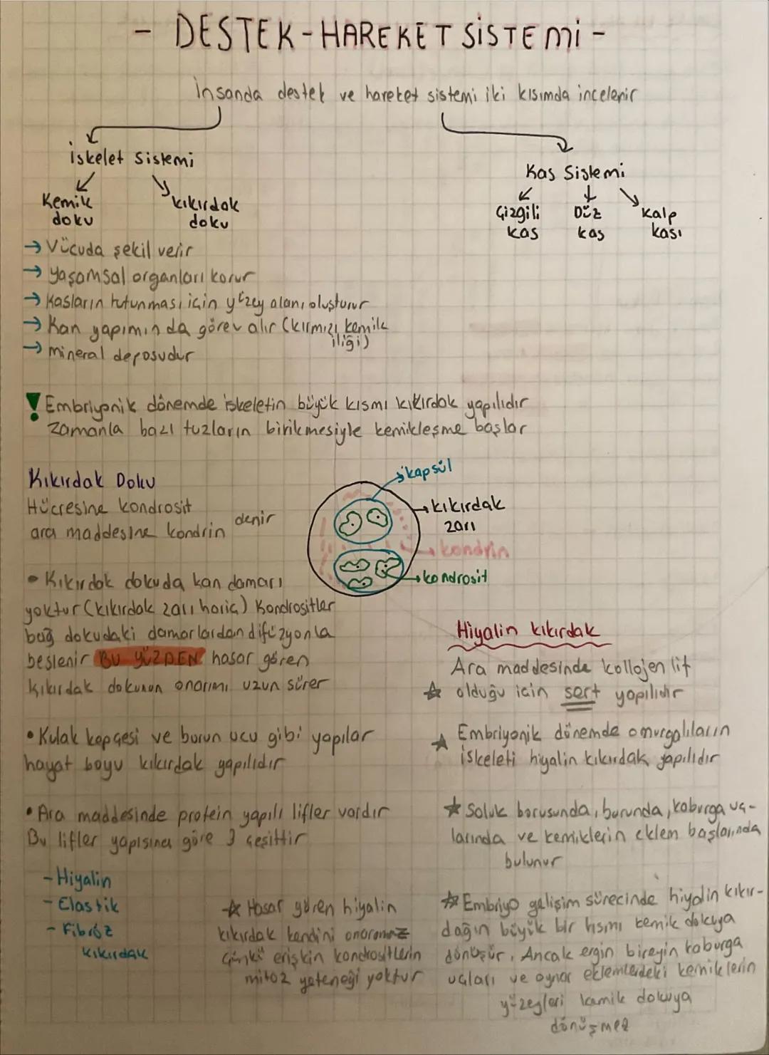 -
DESTEK HAREKET SISTEMI -
İskelet Sistemi
insanda destek ve hareket sistemi iki kısımda incelenir
✓
Kemik
doku
لا
kıkırdak
doku
K
Kas Siste