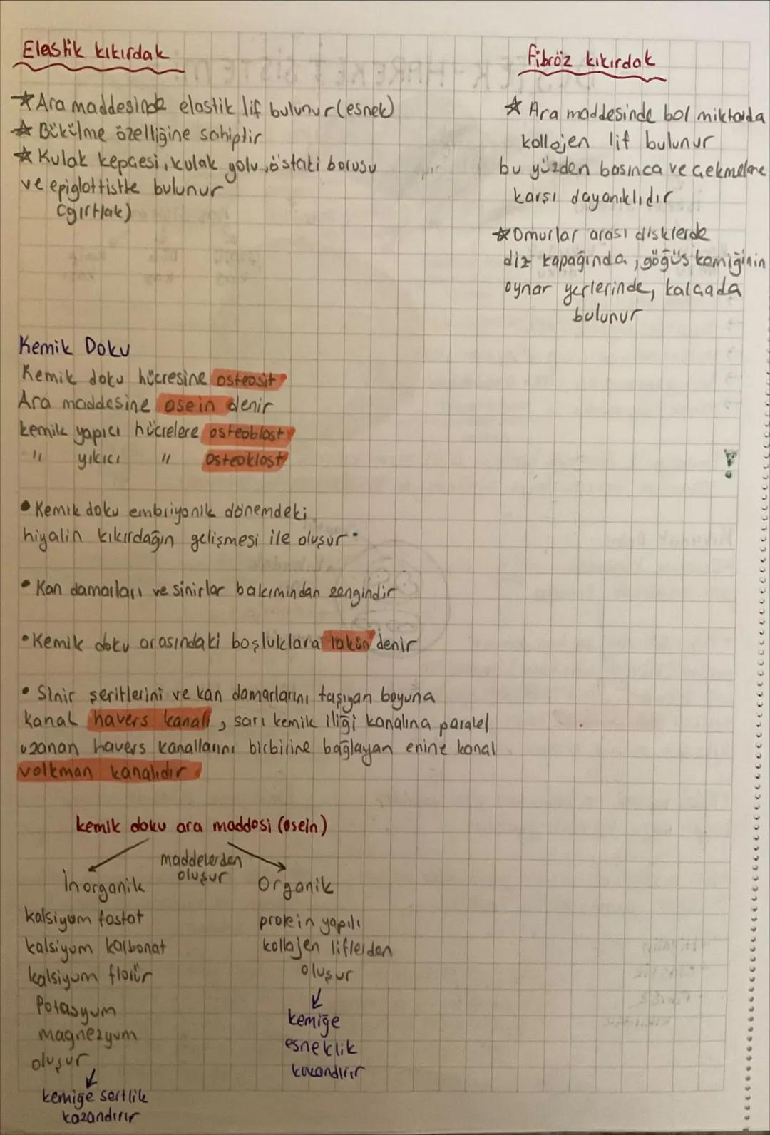 -
DESTEK HAREKET SISTEMI -
İskelet Sistemi
insanda destek ve hareket sistemi iki kısımda incelenir
✓
Kemik
doku
لا
kıkırdak
doku
K
Kas Siste