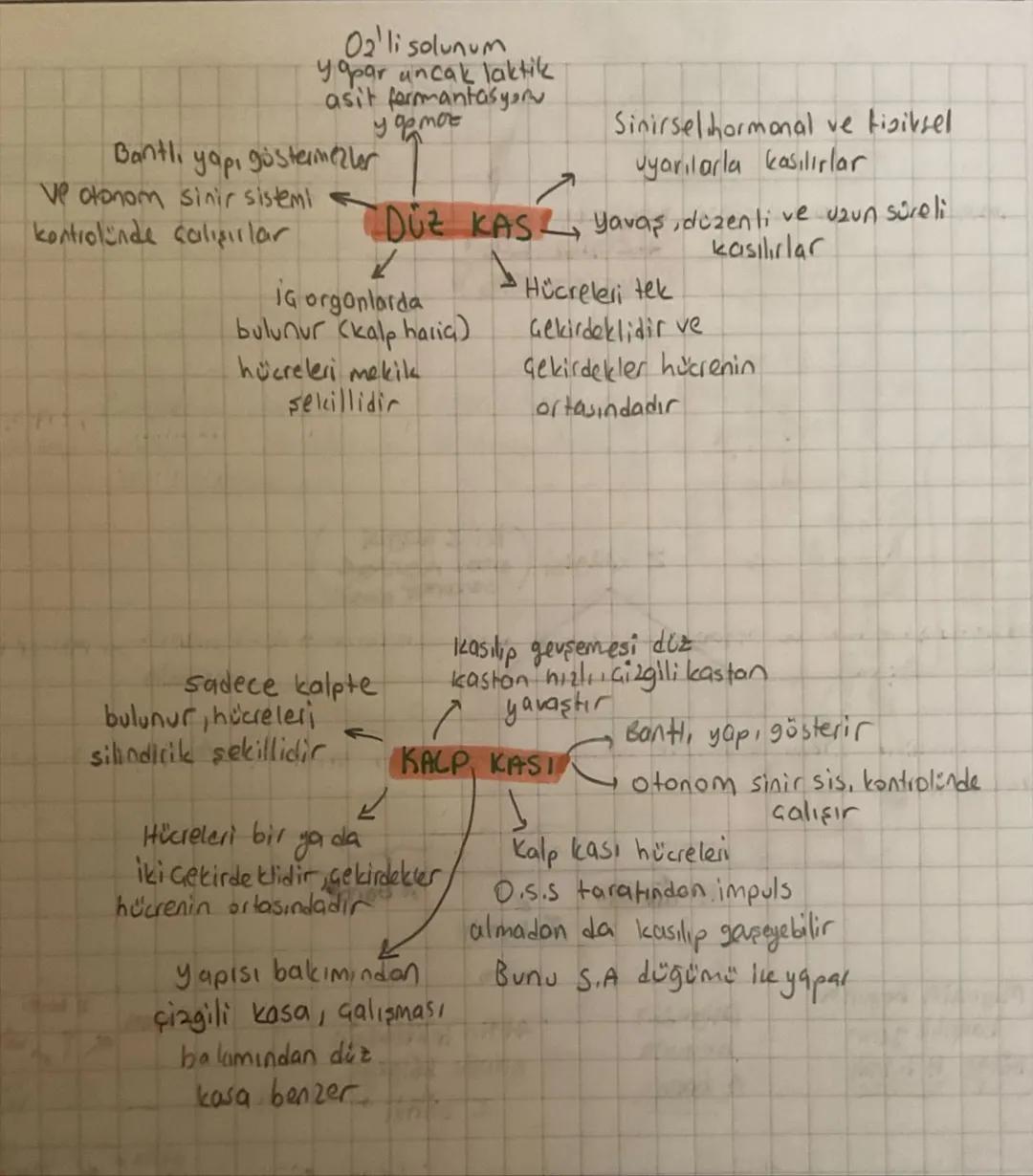 -
DESTEK HAREKET SISTEMI -
İskelet Sistemi
insanda destek ve hareket sistemi iki kısımda incelenir
✓
Kemik
doku
لا
kıkırdak
doku
K
Kas Siste