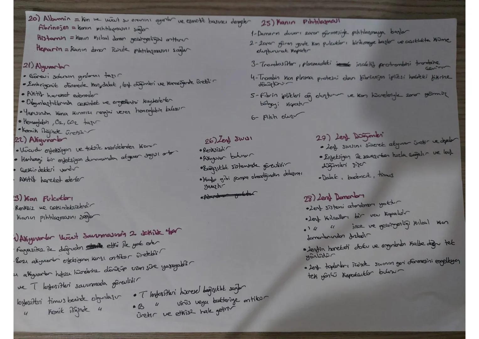 # 1 On iki Parmak bağırsağıdan 3 Mormon Jalgılanır
- Karaciğeri yarıp daha üretimi Üretimi ve salgılanmasını sağlar
- sekretin+Pantbreau, uy