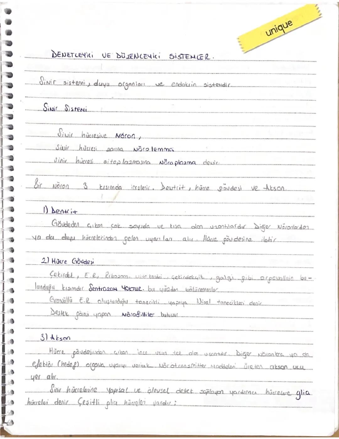 11. sınıf biyoloji sinir sistemi başı (ayt)