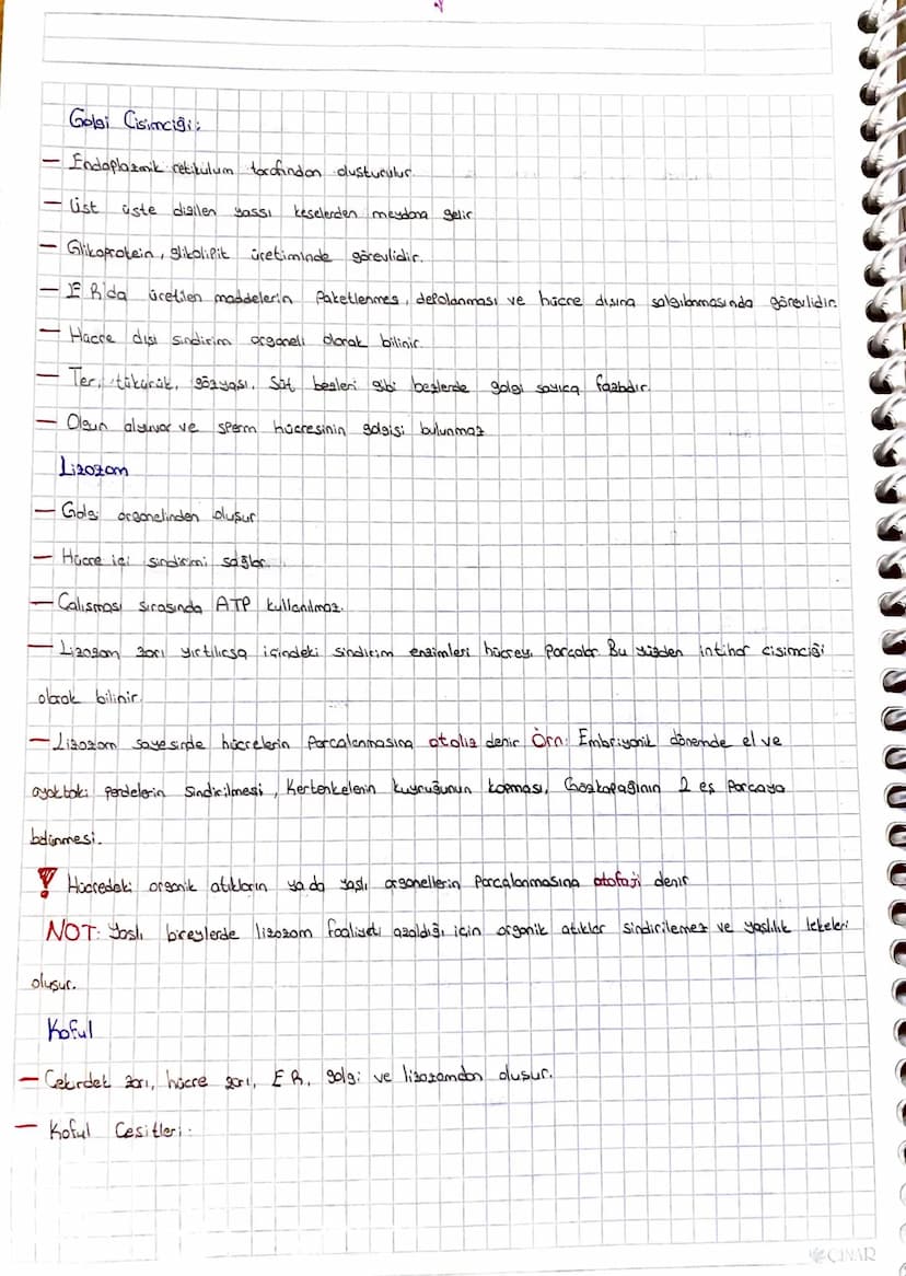 HUCRE
1665 Jılında Robert Hooke mese ağacının montor dokusunu kendi geliştirdiği mikroskopla
incelemis ve gördüğü adacıkdora cellula (hücrel